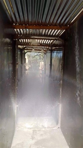 8.3K views · 43 reactions | When to spray feedlot livestock Animals in a feedlot formation are less prone to attacks by ticks and other parasites, however, a spray schedule should be in place. Animals must be sprayed at least twice a month. Emergency spraying can be done Incase some attack is noticed. =========================== Contact African Farm resources center for: Feedlot consultancy and construction Tel: 0724512194/0768303451 | African Farm Resource Centre | Facebook