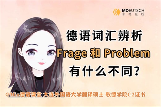 【德语学习】Frage 和 Problem 有什么不同？