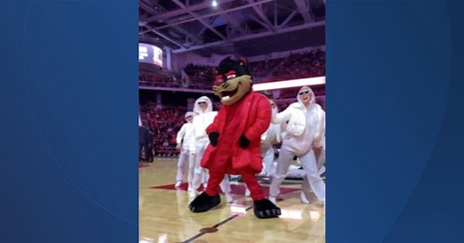 Cincinnati's mascot, dance team pay tribute to Rihanna Super Bowl halftime show during Temple game