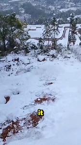 They Made a Big Snowball 😮 | History Facts