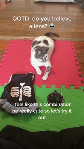 Alien Cat Thomp: Do You Believe in Aliens? 👽