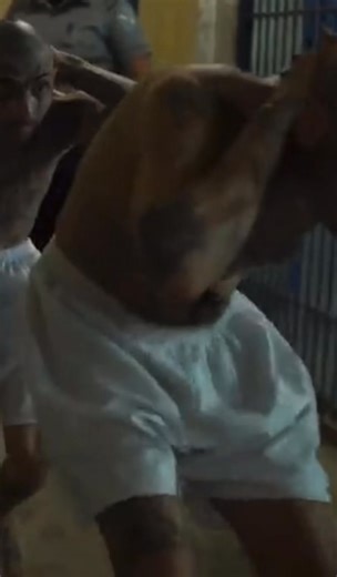 Here is a look inside CECOT￼ prison in El Salvador. This is where we have been deporting a lot of criminal gang members. El Salvador used to be run by gangs. Now it’s run by a president with a spine and the country is safer than the United States. Bukele didn’t “rehabilitate” criminals. He locked them up and shut them down.No bail. No excuses. No taxpayer-funded pampering. Meanwhile in America? Our leaders treat violent thugs like misunderstood children while law-abiding citizens get terrorized.