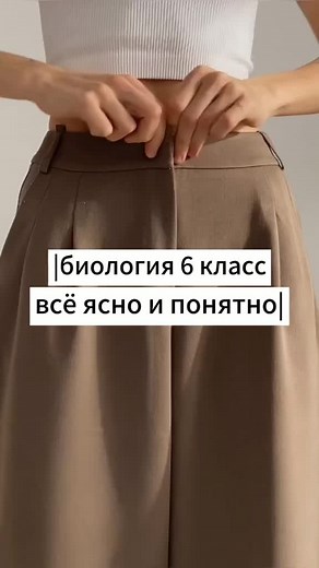 Таблицы по биологии 6 класс: компоненты клеток, фотосинтез, проекты и олимпиады