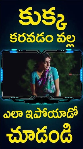 కుక్క కరవడం వల్లఎలా ఇపోయాడో చూడండి | #KarupuAadu Telugu Movie #Shorts | Telugu Cinema