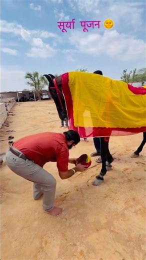 New Horse ka Swagat #song #rajasthani #jaisalmer #subscribe #viralshorts #india #youtube