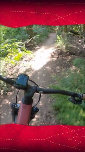 29K views · 465 reactions | The Sheep Skull trail at the Forest of Dean has it all!  | Global Mountain Bike Network | Facebook