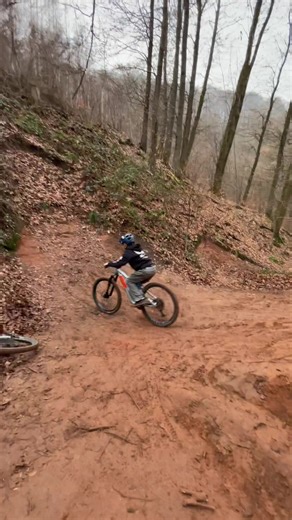 Freeride MTB: Epic Steez in Action