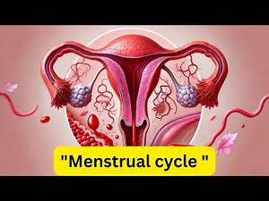 "Menstrual Cycle & Contraception Explained | Biology for Students"
