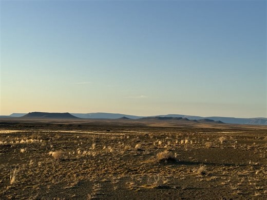 History Channel Survival Series ‘Alone’ Lands in South Africa for Season 12: Here’s How to Stream ‘Alone: Africa’ Online