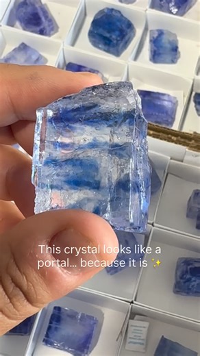 5.2K views · 25 reactions | Vibrant, electric, and glowing from...