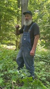 882K views · 33K reactions | Jewelweed! #TKP #Respect #BigBoomBaby #oldschool #realmen #Indiana | Timberkutterpatriot | Facebook