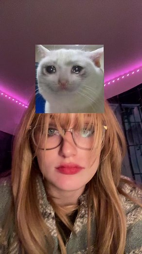 Go kitty go kitty go kitty go #fyp #gokittygo