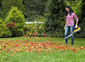 10 Best Battery Powered Leaf Blowers 2025: Cordless Simplicity