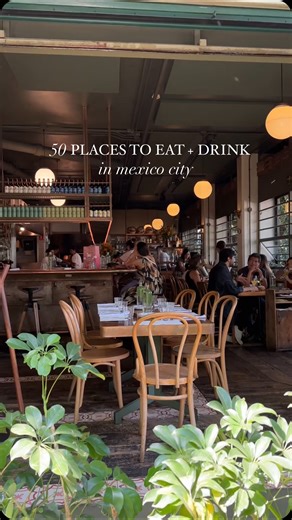 sivan • travel guides ✈️ on Instagram: "50+ places to eat and drink in Mexico City ⬇️ 🌮Lunch/Dinner: Carmela y Sal, Tostadas Coyocan, El Parnita, Expendio de Maiz, La Gruta, Taqueria Orinoco, El Pescadito, Jenni’s Street Quesadillas, El Huequito, Rosetta, Pujol, Blanco Colima, Ticuchi, Lardo, Martinez, Màximo, Mandolina, Masala & Maiz, Mi Compa Chavez, Ling Ling, Huset, Mercado Roma, Salazar, Quintonil, Contramar, Taverna, El Pescadito 🥞Cafés/Brunch: El Traspatio, Maque, Mendl, C