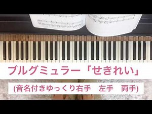 ブルグミュラー「せきれい」(音名付きゆっくり右手→左手→1小節ずつ止めながら両手)