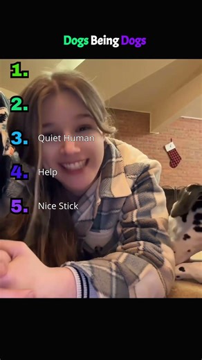 Dogs Doing Dog Things!