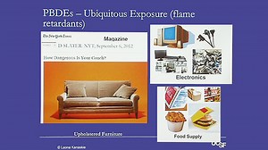 VIDEO: Toxins in Your Everyday Environment