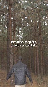 476K views · 1.5K reactions | Planting more trees  improved soil health.  We work with farmers across sub-Saharan Africa, helping them to plant more trees through our farmer-led tree planting program.  These trees help prevent soil erosion, improve water retention, and add essential nutrients back into the earth, ensuring crops grow stronger and healthier! #MoreThanATree | One Acre Fund | Facebook