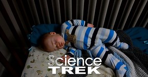 Science Trek | Sleep: Sleep Facts