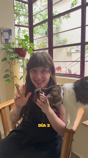 Día 3/31 para ayudarte a transformar tu casa! Hoy: pares vs impares en la decoración