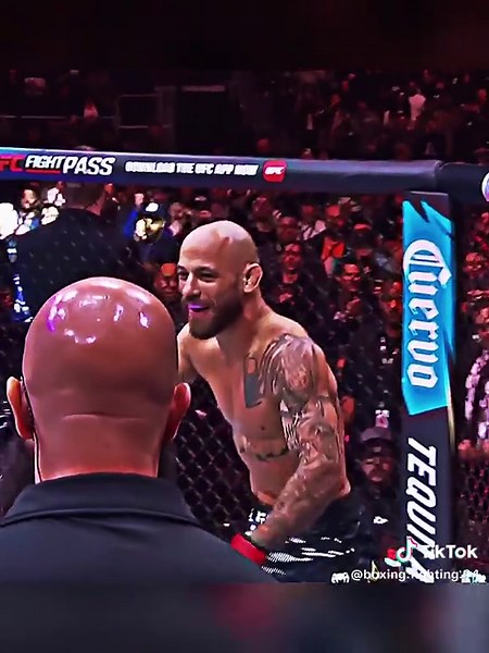 UFC Knockouts Highlights: Best Moments in HD