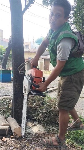 technique tree feeling skills Woodworking project #shortvideo #treecutting #chainsaw