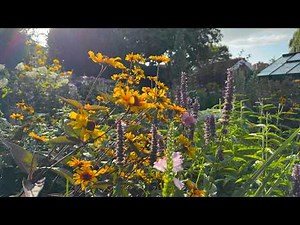 40+ Perennials in Flower in July I Summer Garden Tour | Perennial Garden