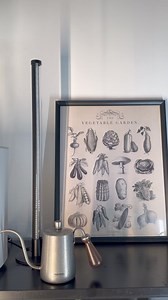  Watering Time with Barrina T10 Desk Grow Light! ✨ It’s time to...