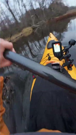 20 minutes till sunset. Can I make it before dark? Not with downed trees creating class 1 rapids!