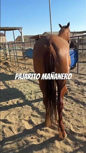 13 de noviembre de 2025