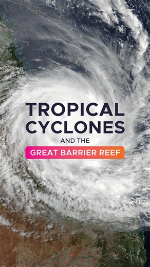 How do tropical cyclones impact the Great Barrier Reef? We catch up with Chief Scientist for the Reef Authority Roger Beeden to learn how tropical cyclones impact different coral communities on the Great Barrier Reef World Heritage Area. As we continue to assess any impacts from ex-Tropical Cyclone Koji, which crossed the Queensland coast on Sunday 11 January, we’ll be sharing Reef health updates over the coming weeks. #LovetheReef #GreatBarrierReef | Great Barrier Reef Marine Park Authority