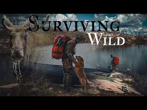 Surviving the Wild: Canoeing Through Canada's Scorched Boreal Wilderness