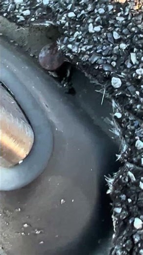 Roof safety tie-off problems Waldorf Maryland #roofing #youtube #callnow #md #saftey #leak #yes ￼