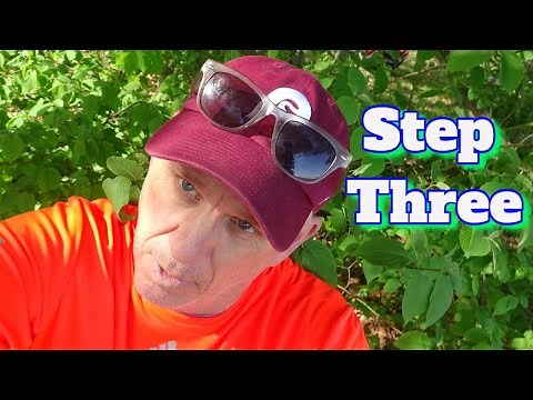 AA For Beginners /Step 3