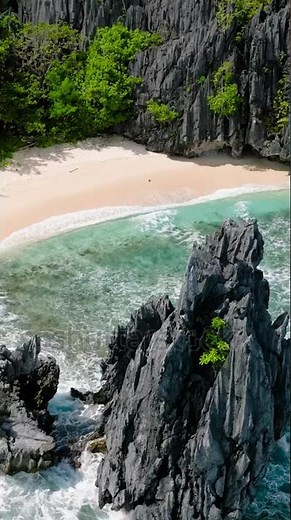 SMS Broadcast|Telegram:my911sms