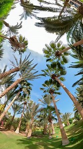 71 reactions · 4 comments | ✨ Explore the underwater world of Makadi Bay with IDive Diving Centre! Live a 360-degree underwater adventure. Come and discover the magic of the Red Sea! 錄 We are a PADI 5⭐️ IDC Center and a PADI ECO Center  .  Carlo Cogliati @idivemakadibay . #IdiveDiving #MakadiBay #UnderwaterAdventure #DiveIntoParadise #RedSeaTreasures  | IDive Makadi Bay | Facebook