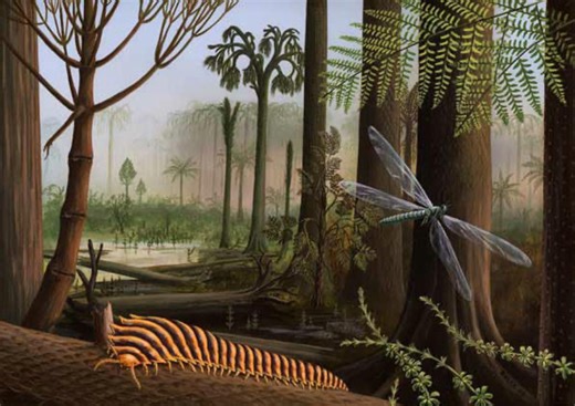 The Carboniferous Period: When Giant Insects Ruled the Land and Sky