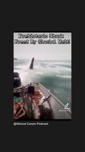 Almost Canon on Instagram: "What's going on here? Is this a whale hunt or did I just see a megalodon?!? #cryptid #cryptozoology #megalodon #shark #greenland"