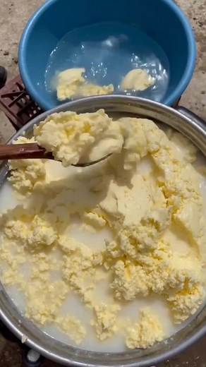 Cheese Production Process: From Curds to Delicious Cheeses