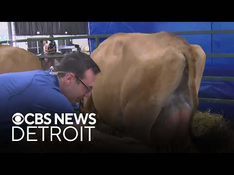 Here are some of the fun activities available at the Michigan State Fair