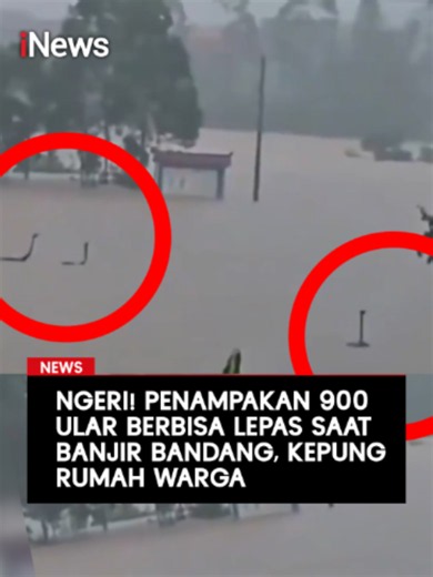 Banjir besar yang dipicu Topan Maysak tak hanya merendam permukiman dan memaksa ribuan warga mengungsi di China selatan. Bencana itu juga memicu situasi yang mengerikan, hampir 900 ular, termasuk kobra berbisa, lepas dari sebuah fasilitas penangkaran dan menyebar ke kawasan permukiman. Ular-ular itu meloloskan diri setelah fasilitas penangkaran terendam banjir. Tim khusus beranggotakan 10 orang tetap dikerahkan untuk memburu reptil-reptil tersebut menggunakan jaring dan alat kejut listrik. Baca 