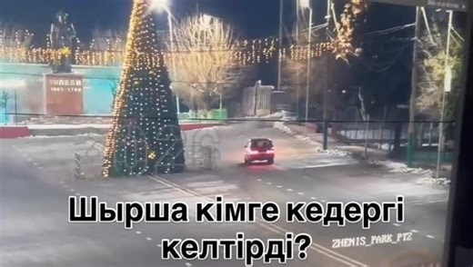 Эльмира Каленова on Instagram: "Оқиға Сарыағаш қаласында тіркелді. Шыршаның құлаған сәті көшедегі бақылау камерасына түсіп қалған. Жүргізуші қос жолақты елемей, жол ережесін де өрескел бұзған. #шырша #сарыағаш #жаңажыл"