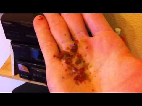 Fischfutter für Babyfische selber machen - Microfutter herstellen