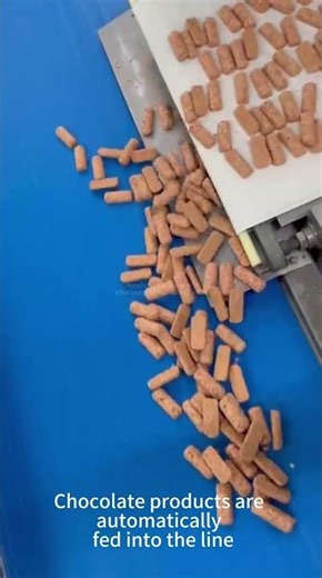 330 PPM Chocolate Flow Pack Machine | Automatic Packaging Line