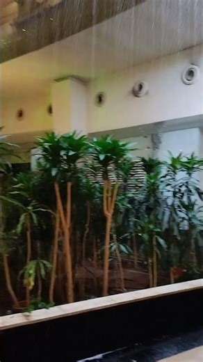 Lobby of Hotel Taj at Gateway of India #feed #bestfeed #nightfeed #staythenight #daystay