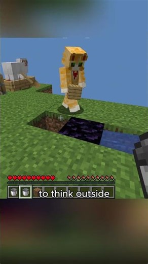 Skyblock playthrough turns out to be a fake world