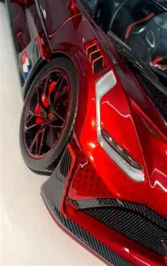 The Lady Bug Divo, rare model car spotlight