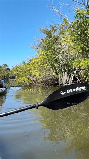 3K views · 26 reactions | Here’s your sign to book the kayak trip. Springs to Sea Outdoor Adventure & Education | Florida's Space Coast | Facebook