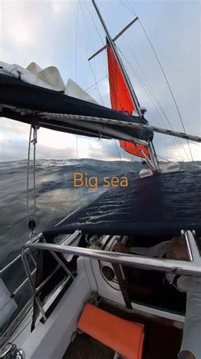 Sailing Zen Again home #sailinglife #sailingaroundtheworld