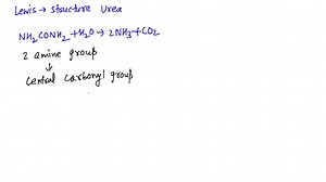SOLVED:Urea is converted into ammonia and carbon dioxide by the enzyme urease. An increase in the concentration of urea increases the rate of reaction. Explain. (Hint: see Chapter 6 Section B.)